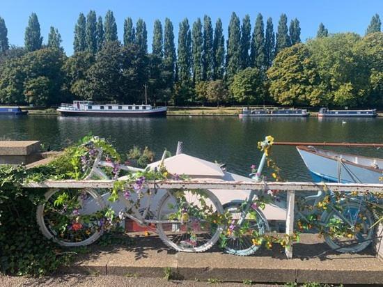 River Den Apartament Kingston upon Thames  Zewnętrze zdjęcie